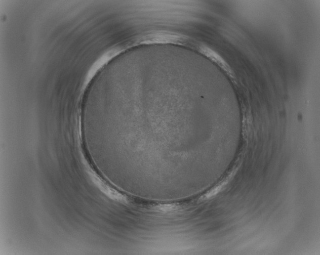 X0000070181130200606021026