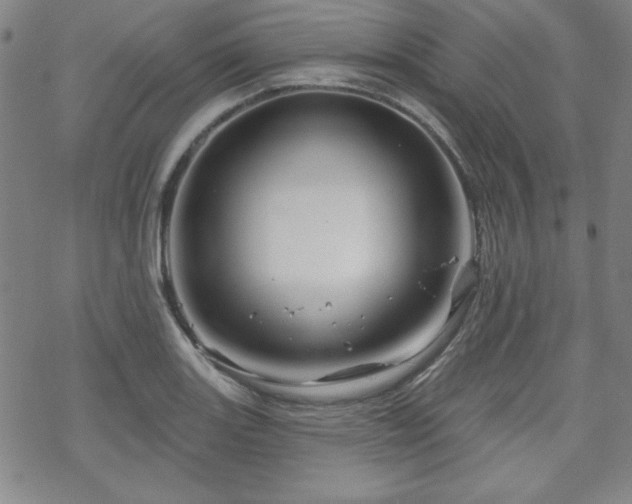 X0000070181131200606021026