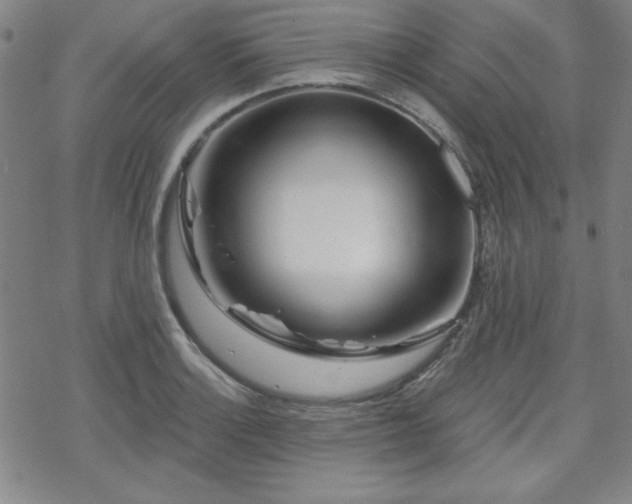 X0000070181132200606021026