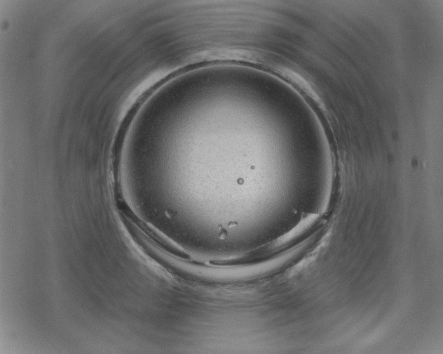 X0000070181133200606021026