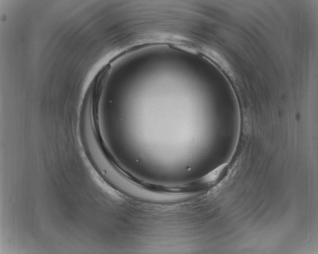 X0000070181136200606021026