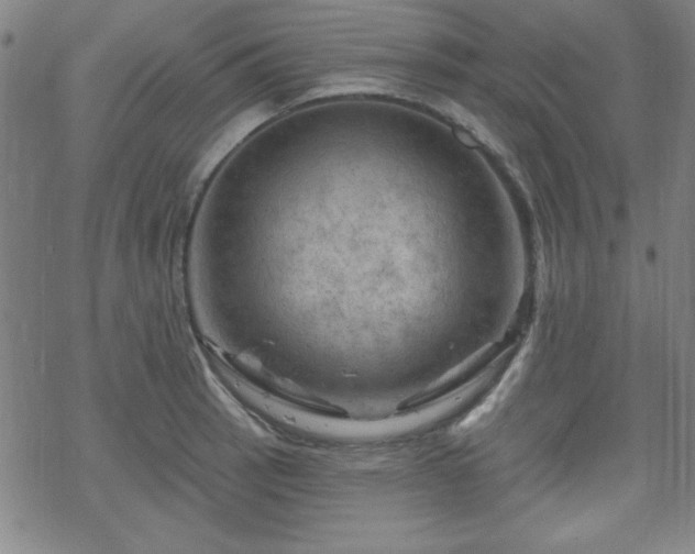 X0000070181137200606021026