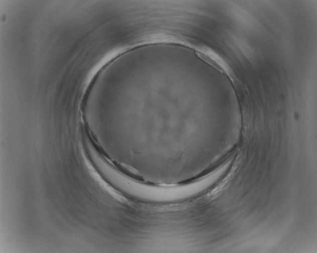 X0000070181142200606021026