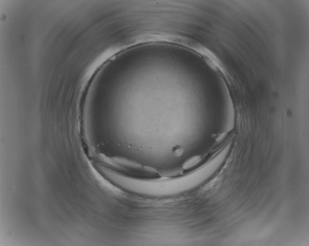 X0000070181143200606021026