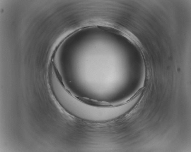 X0000070181144200606021026