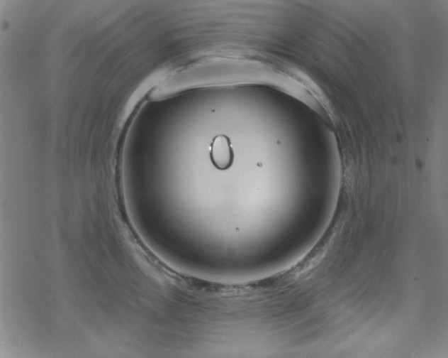 X0000070181146200606021026