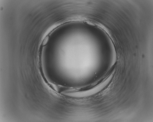 X0000070181147200606021026