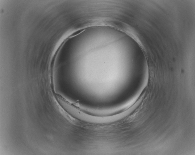 X0000070181148200606021026