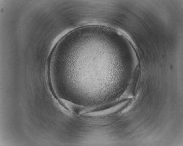 X0000070181149200606021026