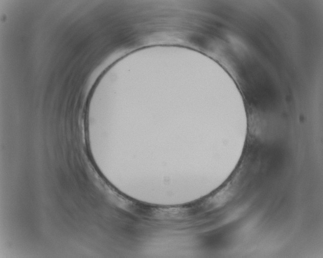 X0000070181150200606021026