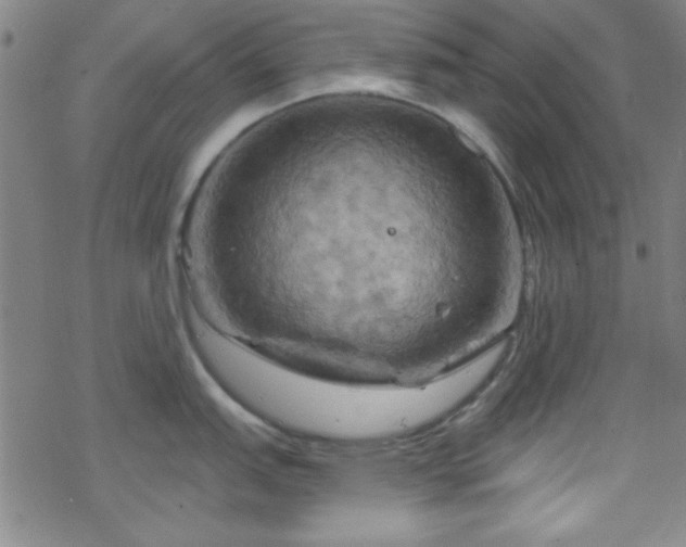 X0000070181151200606021026