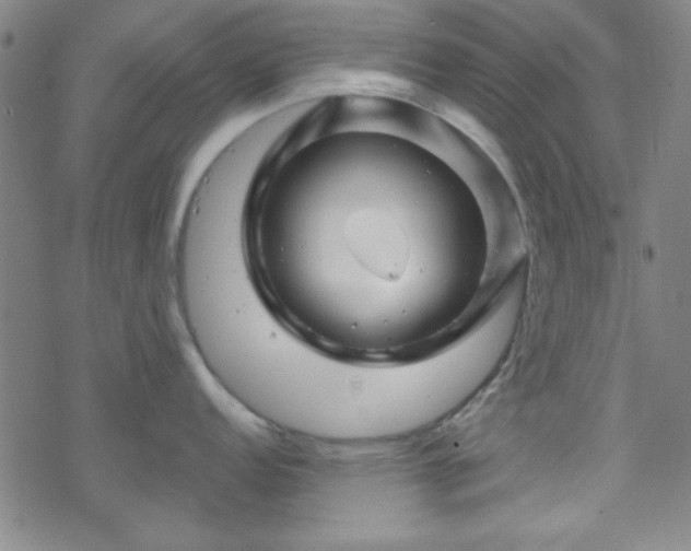 X0000070181152200606021026