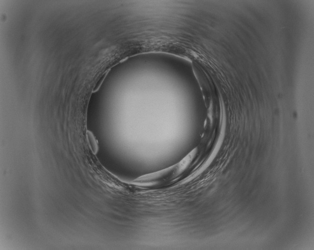 X0000070181153200606021025