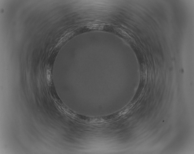 X0000070181154200606021025