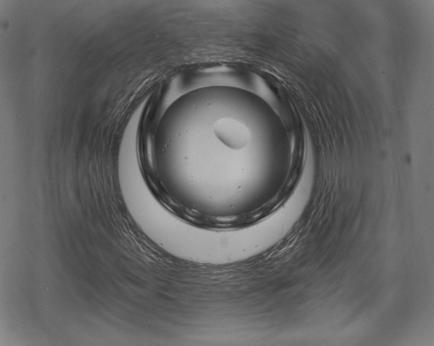 X0000070181155200606021025