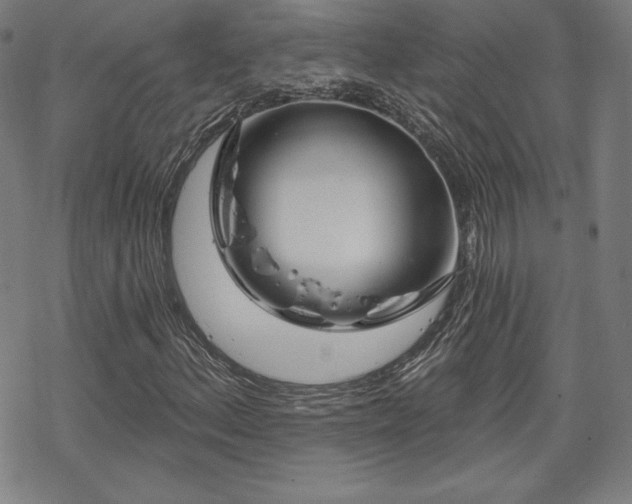 X0000070181156200606021025