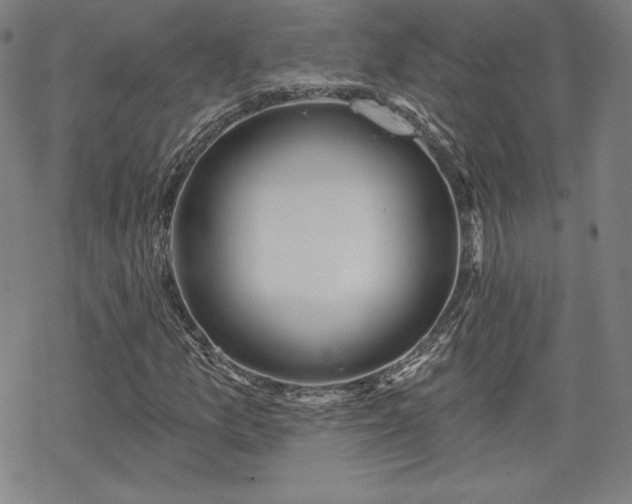 X0000070181157200606021025