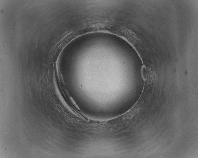 X0000070181158200606021025