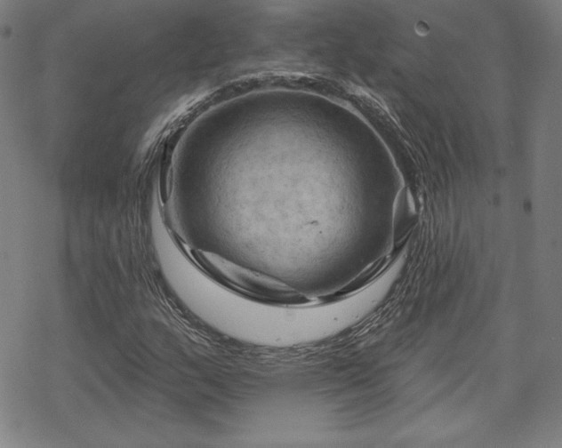 X0000070181159200606021025