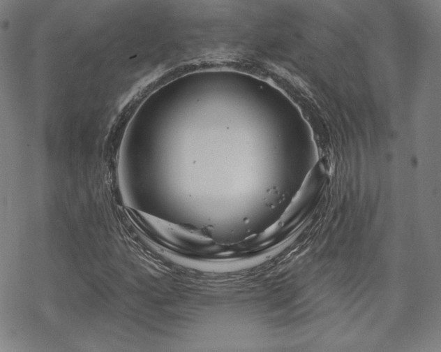 X0000070181160200606021025