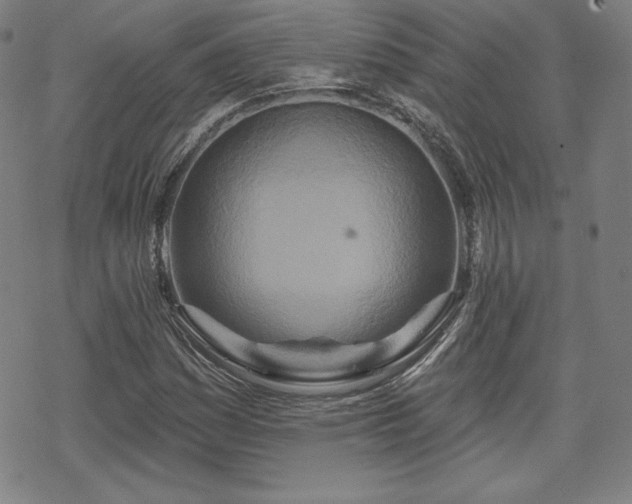 X0000070181161200606021025