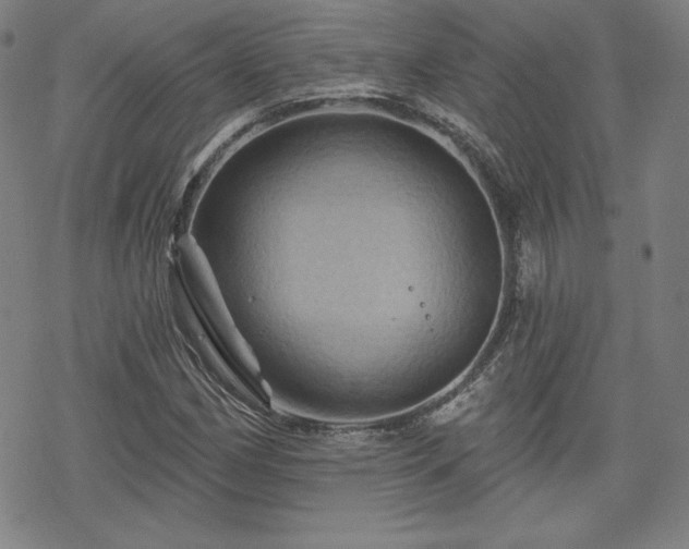 X0000070181162200606021025