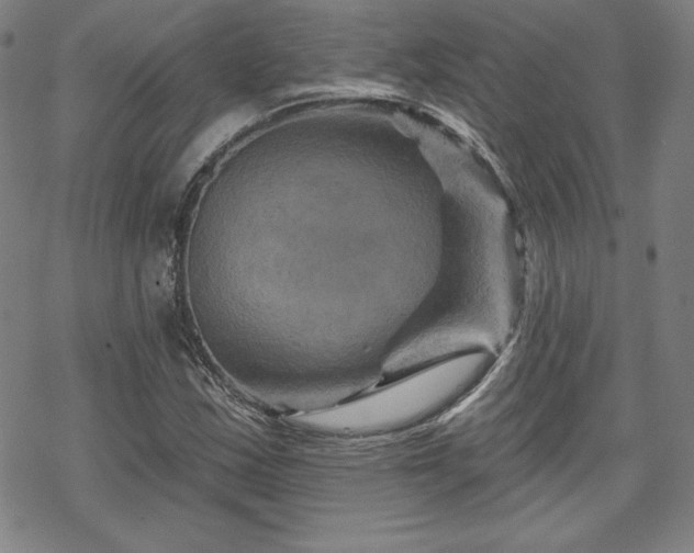 X0000070181163200606021025