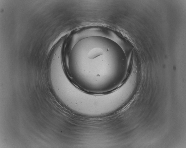 X0000070181165200606021025