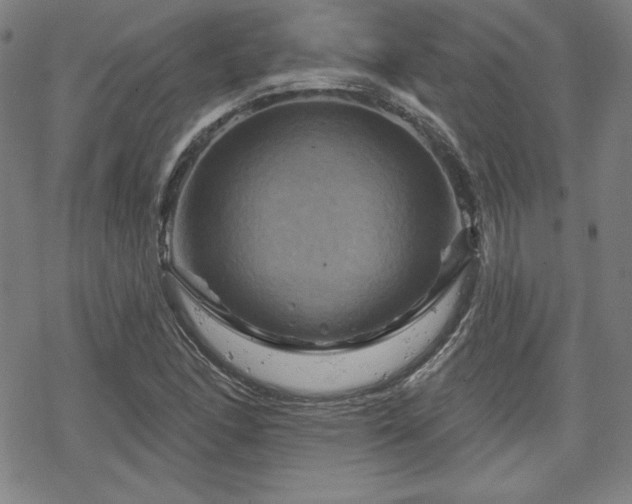 X0000070181166200606021025