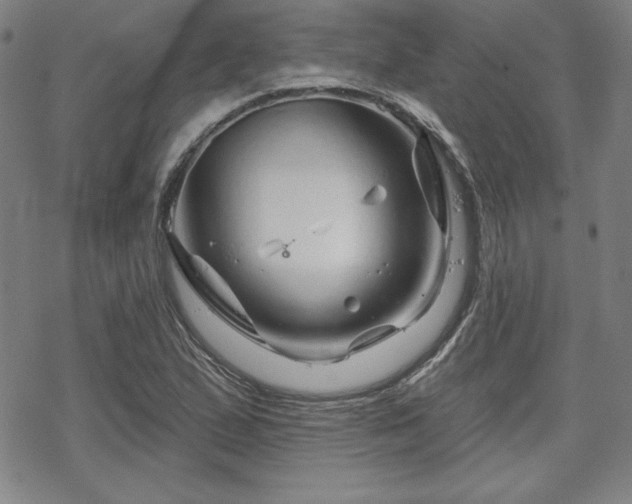 X0000070181167200606021025