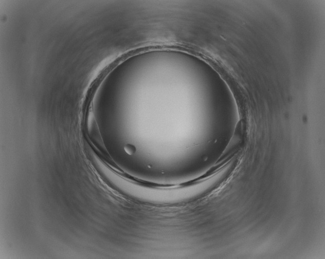 X0000070181168200606021025