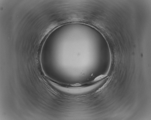 X0000070181170200606021025