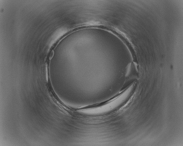 X0000070181171200606021025