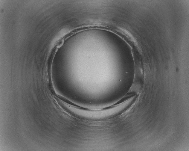 X0000070181172200606021025