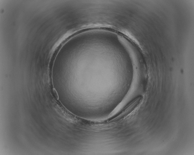 X0000070181173200606021025