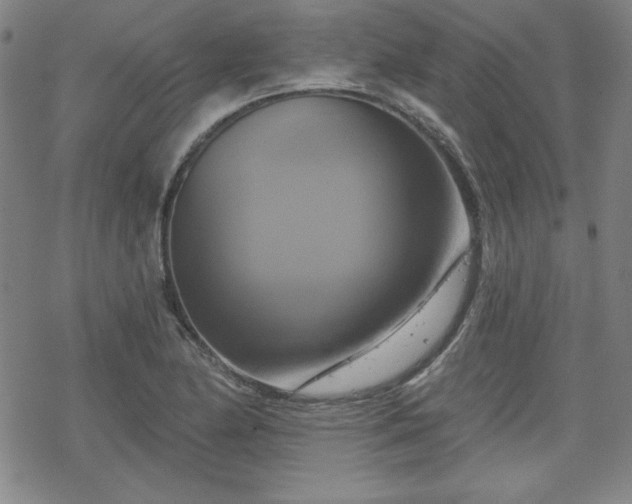 X0000070181174200606021025