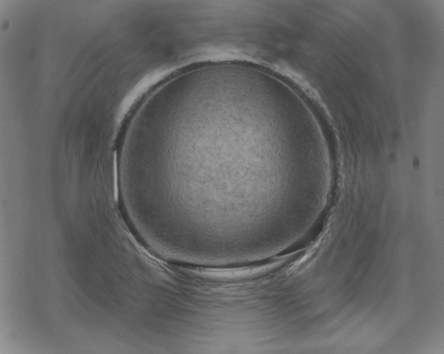 X0000070181175200606021025