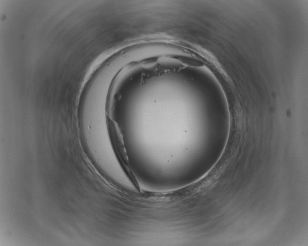 X0000070181176200606021025