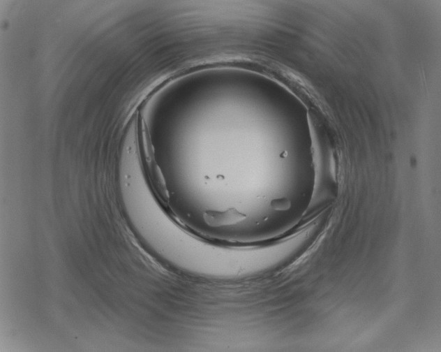 X0000070181177200606021025