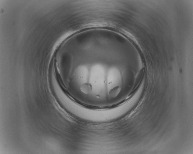 X0000070181179200606021025