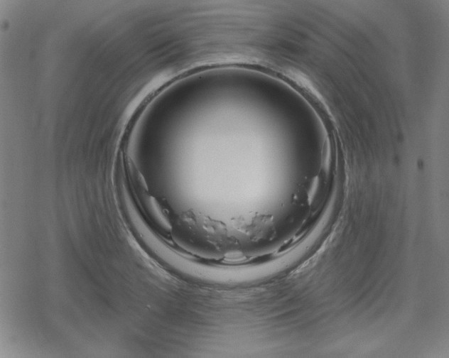 X0000070181181200606021025