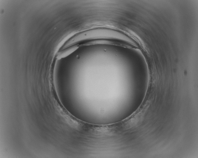 X0000070181182200606021025