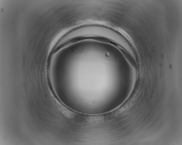 X0000070181183200606021025