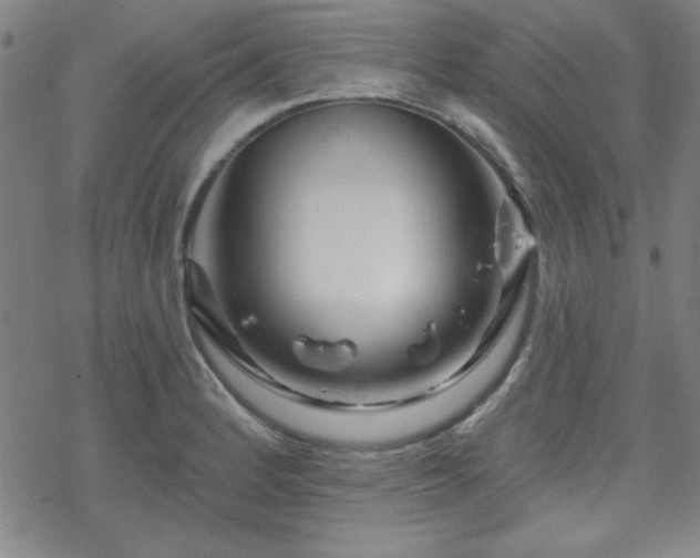 X0000070181184200606021025