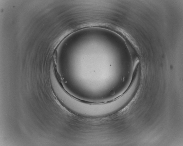 X0000070181185200606021025