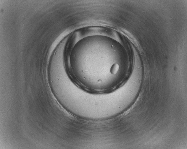 X0000070181188200606021025