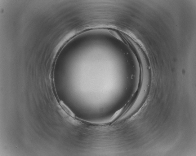 X0000070181189200606021025