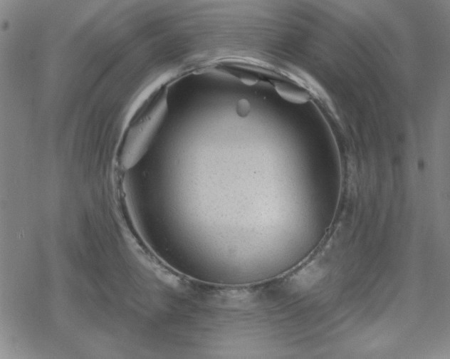 X0000070181190200606021025