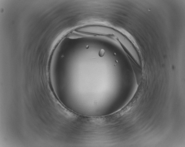 X0000070181191200606021025