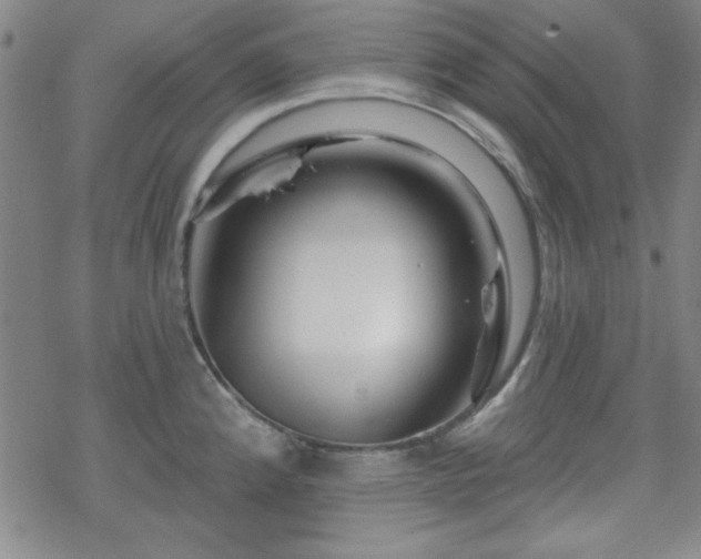 X0000070181192200606021025